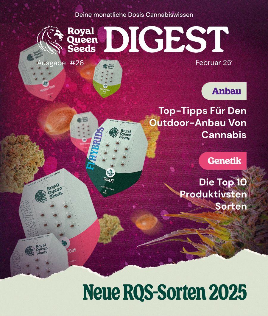 Digest 26